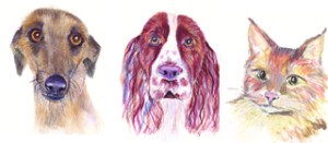 thepaintedpetheader1